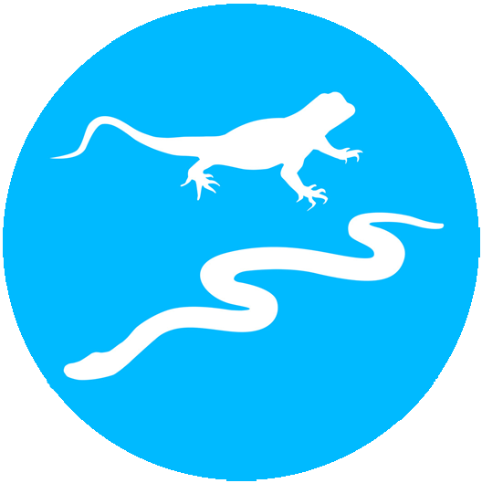 Icon Reptilien