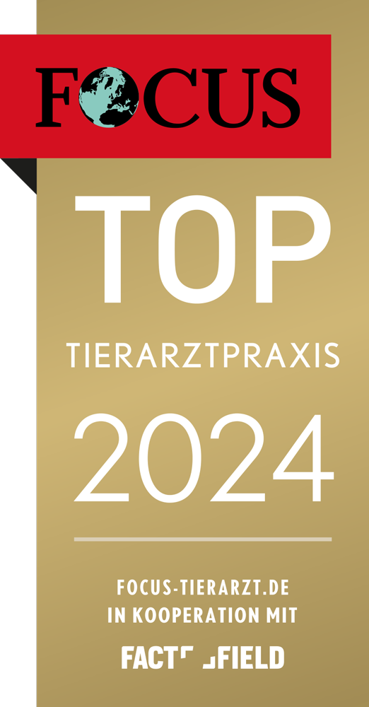 Focus Siegel, Top Tierarztpraxis 2024 - Dr. med. vet. Dan Tapalaga